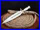 Custom-Handmade-d2-Steel-stag-horn-handle-hunting-knife-dagger-knife-with-sheath-01-fy