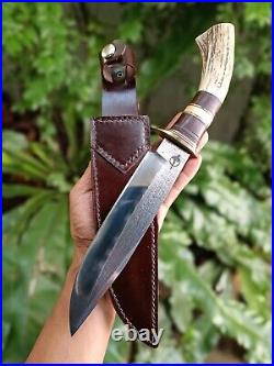 Custom bowie pocket hunting knife 7.7 Germany saw forged steel, Stag, L sheath