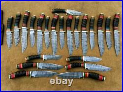 Custom handmade Damascus steel knives with IMPALA HORN lot of 20
