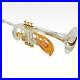 Customized-Silver-24K-Gold-plated-Trumpet-Flumpet-Bb-Horn-With-Case-01-bz