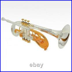 Customized Silver 24K Gold plated Trumpet Flumpet Bb Horn With Case