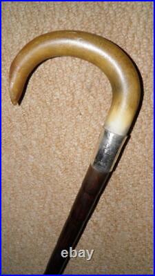 Edwardian Bovine Horn Walking Stick Hallmarked 1909 Silver Norfolk Constabulary