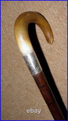 Edwardian Bovine Horn Walking Stick Hallmarked 1909 Silver Norfolk Constabulary