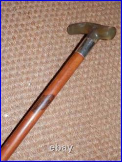 Edwardian Gent's Bovine Horn Walking Stick/Cane-Hallmarked Silver 1912'H. T