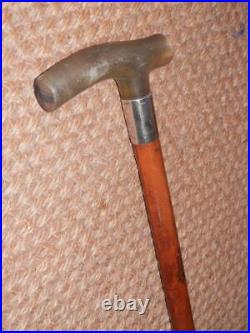 Edwardian Gent's Bovine Horn Walking Stick/Cane-Hallmarked Silver 1912'H. T