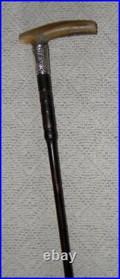 Edwardian Hallmarked 1909 Silver Ladies Bovine Horn Walking Stick Cane / Stick