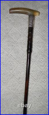 Edwardian Hallmarked 1909 Silver Ladies Bovine Horn Walking Stick Cane / Stick