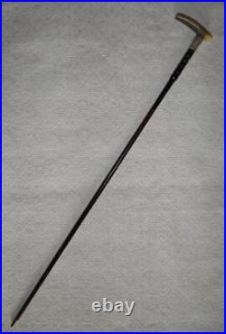 Edwardian Hallmarked 1909 Silver Ladies Bovine Horn Walking Stick Cane / Stick