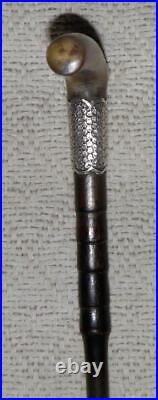 Edwardian Hallmarked 1909 Silver Ladies Bovine Horn Walking Stick Cane / Stick