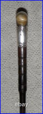 Edwardian Hallmarked 1909 Silver Ladies Bovine Horn Walking Stick Cane / Stick