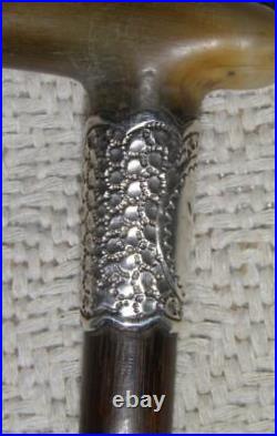 Edwardian Hallmarked 1909 Silver Ladies Bovine Horn Walking Stick Cane / Stick