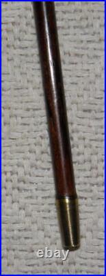 Edwardian Hallmarked 1909 Silver Ladies Bovine Horn Walking Stick Cane / Stick