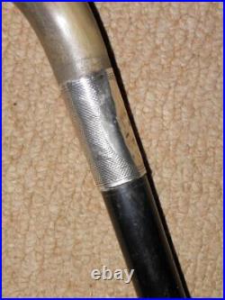 Edwardian Walking Stick Bovine Horn Handle & Hallmarked 1904 Silver Furnishings