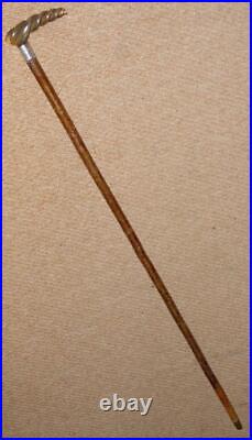 Edwardian Walking Stick Bovine Horn Twisted Handle & Hallmarked 1906 Silver