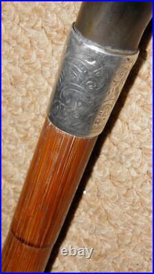 Edwardian Walking Stick / Cane Bovine Horn Fritz Handle & Hallmarked 1905 Silver
