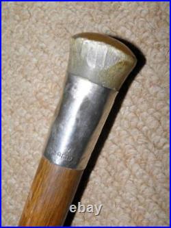 Edwardian Walking Stick / Cane Bovine Horn Pommel Top & Hallmarked 1909 Silver