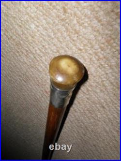 Edwardian Walking Stick / Cane Bovine Horn Pommel Top & Hallmarked 1909 Silver