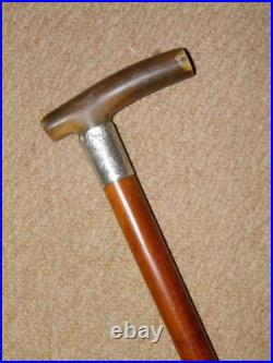 Edwardian Walking Stick/Cane With Bovine Horn & H/m 1902 Silver Collar 89.5cm