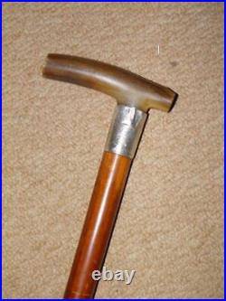 Edwardian Walking Stick/Cane With Bovine Horn & H/m 1902 Silver Collar 89.5cm