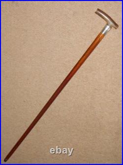 Edwardian Walking Stick/Cane With Bovine Horn & H/m 1902 Silver Collar 89.5cm