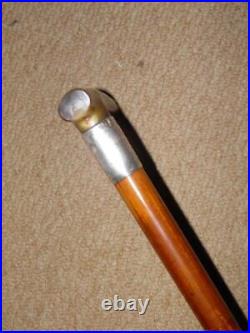 Edwardian Walking Stick/Cane With Bovine Horn & H/m 1902 Silver Collar 89.5cm