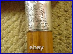 Edwardian Walking Stick/Cane With Bovine Horn & H/m 1902 Silver Collar 89.5cm