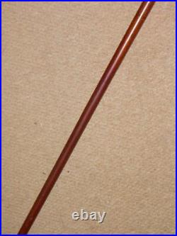 Edwardian Walking Stick/Cane With Bovine Horn & H/m 1902 Silver Collar 89.5cm