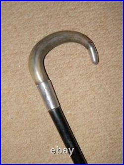 Edwardian Walking Stick WithBovine Horn Crook Handle & H/m 1904 Silver Furnishings
