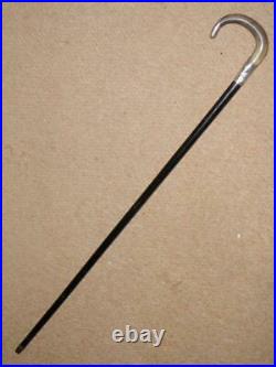 Edwardian Walking Stick WithBovine Horn Crook Handle & H/m 1904 Silver Furnishings