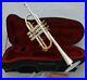 Excellent-PRO-C-Trumpet-horn-Silver-Gold-plated-Finish-Monel-Valve-With-case-01-sb