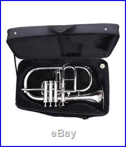 FLUGEL HORN 4 VALVE Bb PITCH NICKEL SILVER WITH FREE HARD CASE & MP NICELY TUNED
