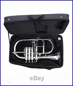 FLUGEL HORN Bb PITCH 4 VALVE NICKEL SILVER WITH CASE AND MP NICELY TUNED