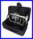 FLUGEL-HORN-Bb-PITCH-4-VALVE-SILVER-NICKL-LACQUERED-WITH-FREE-HARD-CASE-SALE-01-gjme