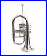 FLUGEL-HORN-Bb-PITCH-4-VALVE-SILVER-NICKL-LACQUERED-WITH-FREE-hard-CASE-AND-MP-01-hds