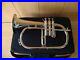 Fantastic-Pocket-New-Silver-Bb-Flugel-Horn-With-Free-Hard-Case-Mouthpiece-01-kmby