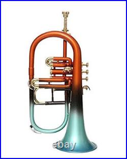 Flugel Horn multi Bb Flat 4 Valve With Hard Case Mouthpiece silver SALE ON