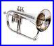 Flugel-horn-3-valve-new-polish-of-Nickel-Plated-Bb-pitch-with-hard-case-DAM-045H-01-qbn