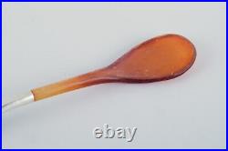 Georg Jensen, Viking, rare salt spoon with amber-colored horn handle