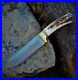 Handmade-Bushcraft-Horn-Knife-With-cover-and-Pocket-Knife-Knife-Collectors-01-eg