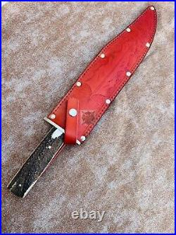 Handmade D2 Steel Bowie Knife With Stag Horn Handle Knife With Sheath