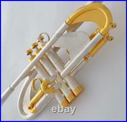 Heavy Bb Trumpet horn Brushed Silver Germany Brass With Case