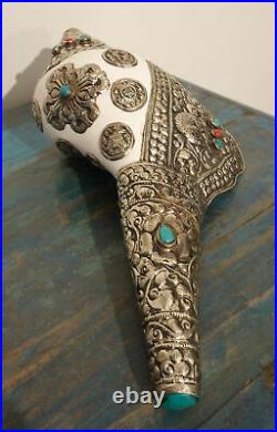 Huge tibetan Shell-Horn With Fittings Silver 13 13/16in Long
