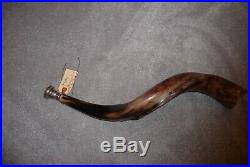 Kudu horn made into horn with silver mouth piece London, Taxidermy
