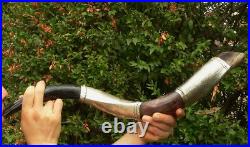 LION of JUDAH Israel Lrg 30 SILVER Plate SHOFAR blow horn Trumpet Hebrew chofar