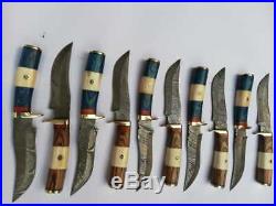 Lot of 10 Custom handmade Steel skinner Knife with bone and parka wood handle