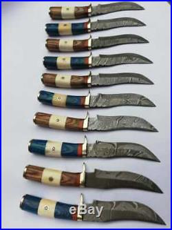 Lot of 10 Custom handmade Steel skinner Knife with bone and parka wood handle