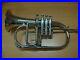 NEW-FAST-SALE-ON-NEWSILVER-Bb-F-4-VALVEFLUGEL-HORN-WITH-FREE-CASE-M-P-BRS-EHS-01-vcss