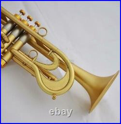 Nautical mart786 Bb Trumpet Customized Flumpet Horn Matt Finish With Case