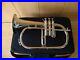 New-Silver-Bb-Flugel-Horn-With-Free-Hard-Case-Mouthpiece-01-qpda