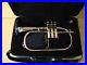 New-Silver-Bb-Flugel-Horn-With-Free-Hard-Case-Mouthpiece-01-stcu